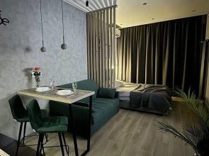 Апартаменты Platinum Aparts (Аллея Парк)