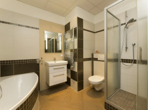 Апартаменты Karla Capka Street