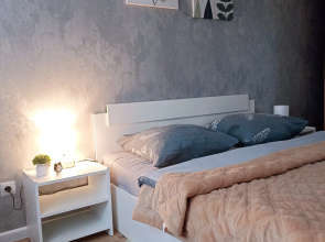 Okolo Rzhd Vokzala Flat