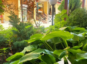 Отель Ласточка 117