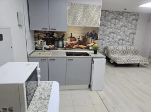 Апартаменты Двухкомнатные рядом с Парком Швейцария 1