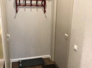 Апартаменты Большая Пушкарская 4