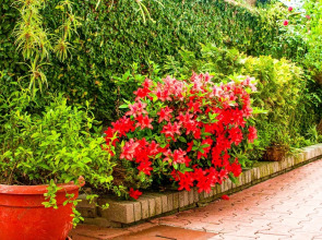 Гостевой дом Вилла Валентина by Sun City Hotels