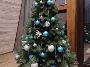 Частный Дом  А-фрейм Рыжая Такса