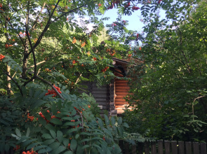 Arhangelskaya Dacha Boutique-hotel
