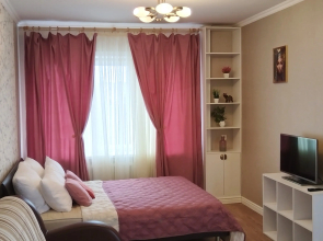 Uyutnaya v tsentre Flat