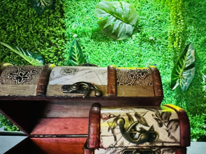 Апарт-отель Aparthotel Costa