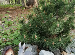 База отдыха Счастливые люди