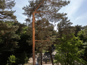 Апартаменты Вид на сосны