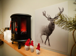 Квартира Шотландия