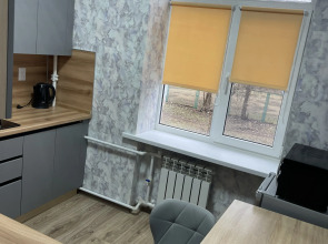 Квартира Двухкомнатная. Ворошилова 8а. 2 этаж