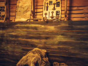 Гостевой дом Остров Kattegat