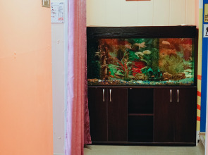 Меблированные комнаты Норка