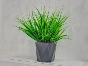 Апартаменты Дмитриевский Собор - Владимирская Русь - Исторический Владимир