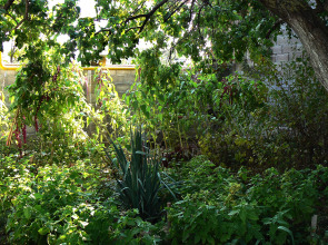 Гостевой Дом Рейд