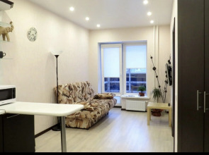 Квартира Белый слон