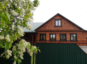 Izba-Agafonovykh Guest House