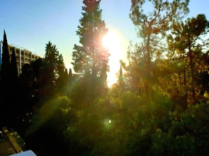 Апартаменты Светлана у моря