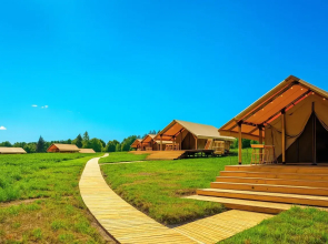 Глэмпинг Носороги