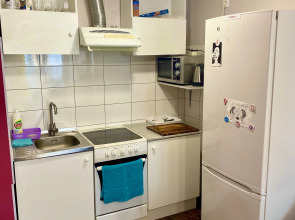 Апартаменты "Белые Ночи" Студия на Энтузиастов 15