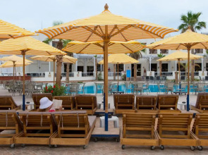 Amphoras Aqua Adults Friendly