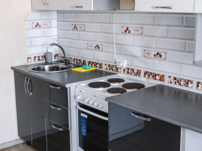 Квартира Октябрьская 221