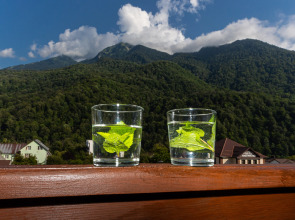 Апартаменты семейные с видом на горы