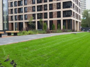 Апартаменты Улучшенные Уютный Дом на Смольной 44