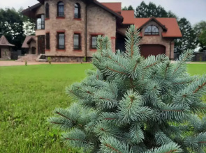 Agrousadyba Yanovskiy Zamok Guest house