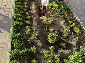 Квартира на Пархоменко 8