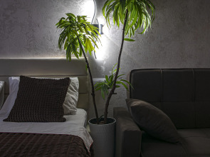 Апартаменты в Нижнем Новгороде