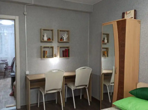 Апартаменты Четырехкомнатная квартира на Димитрова 4