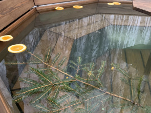 Частный дом A-фрейм в лесу Зеленого города