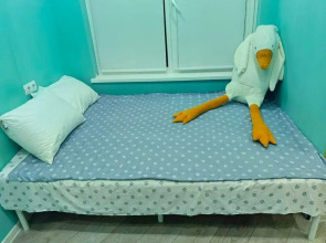 Апартаменты Орел-Изумруд