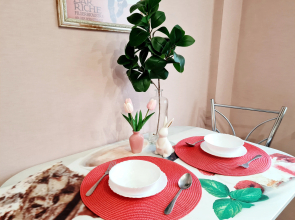 Апартаменты Белые ночи у ЖД Вокзала