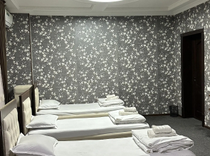 Гостевой дом Brick Palace