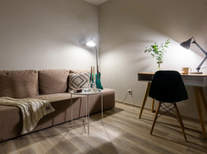 Апартаменты-комфорт  Vetka Home на Красном проспекте