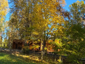 Отель Ruza Forest