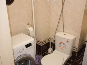 Апартаменты 1 комн Дуси Ковальчук 238