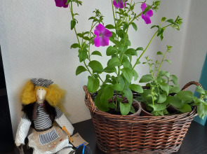 Апартаменты Просторные аппартаменты с джакузи