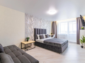 Апартаменты DreamHouse у аэропорта Кольцово