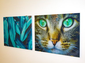 Апартаменты Studio Crocus 4 на Ильинском 2А