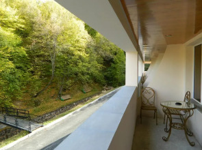 Отель Цахкаовит