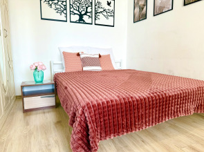 Квартира на Куконковых (Иваново, вторая Чапаева улица, дом 40а)