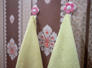 Мебелированные комнаты Азалия Центральный