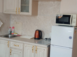 Квартира Торпедо нн