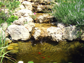 Гостевой Дом Солнечная Ривьера