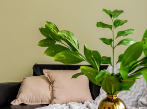 Апартаменты 1 Комнатные Возле Метро Нарвская