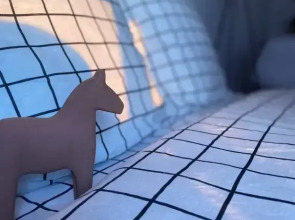 Апартаменты Улучшенные Трехместные SalutApart 8