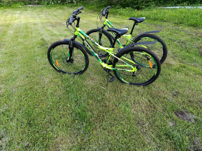 Гостевой дом на опушке леса